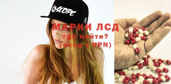 шишки Медвежьегорск