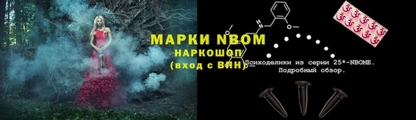 шишки Медвежьегорск