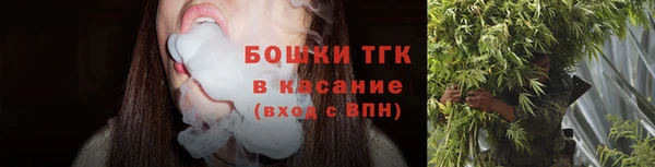 шишки Медвежьегорск