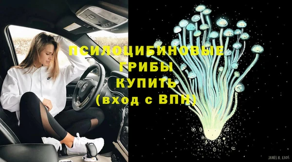 шишки Медвежьегорск