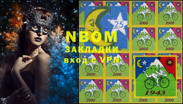 шишки Медвежьегорск