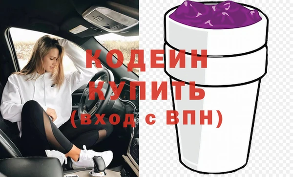 шишки Медвежьегорск